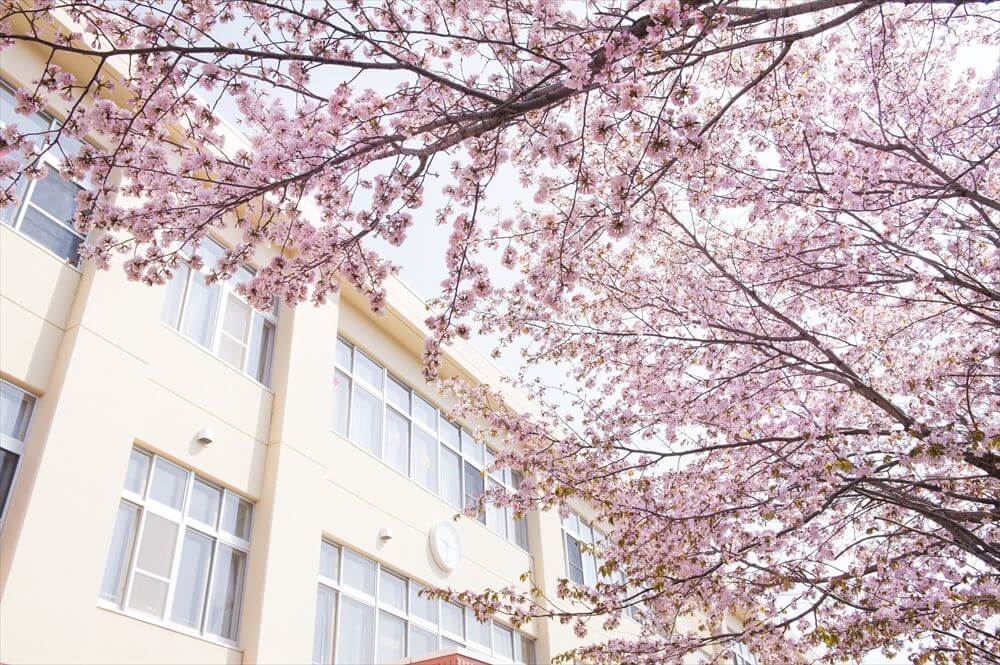 受験後の流れ（合格発表〜入学準備）