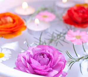 スペシャルコンテンツ